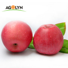 Chinese famous Fresh fruit Fresh Red Fuji Apple for wholesale